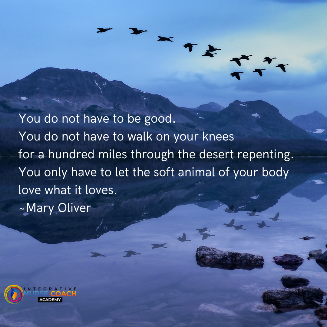 Mary Oliver Poem